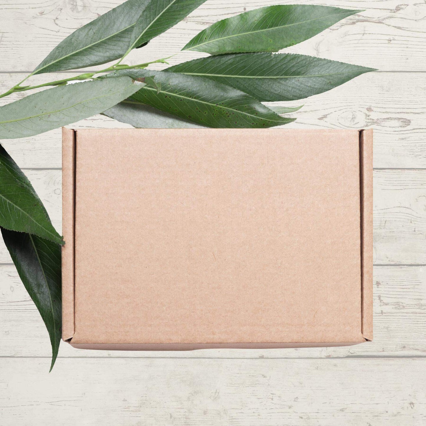 12 Monthly Planner Inserts: Premium Vellum Inserts Set for A5 Size DiscBound Pla