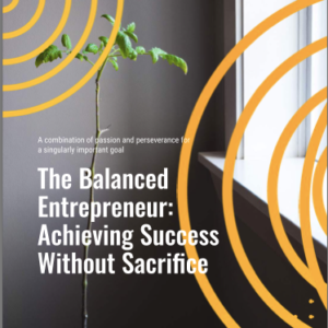 The Balanced Entrepreneur: Achieving Success Without Sacrifice e-book
